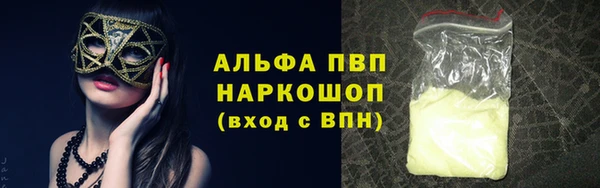 ECSTASY Магас