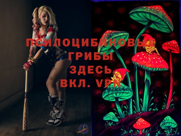 ECSTASY Магас