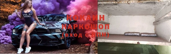 ECSTASY Магас